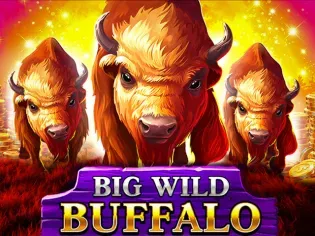 Big Wild Buffalo game screenshot